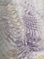 35. Piatto con riflessi beige e viola (part. 8)
