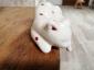 39. Gatto a pois (part. 4)