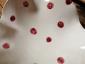 40. Piatto a pois rosa (part. 8)