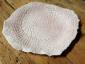 41. Piatto rosa con cristallina, a secondo fuoco, diametro cm 20 - 35 euro