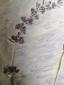 5. Piatto con decorazione lavanda (part. 6)