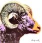 Andy Warhol (after), Bighorn Ram (1983), litografia a colori, tiratura limitata (ed. 500 es.), numerata a matita, firmata in lastra, timbro a secco CMOA, cm 50x50 b