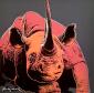 Andy Warhol (after), Black Rhinoceros (1983), litografia a colori, tiratura limitata (ed. 500 es.), numerata a matita, firmata in lastra, timbro a secco CMOA, cm 50x50 b
