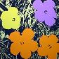 Andy Warhol (after), Flowers, serigrafia a colori edita da Sunday B. Morning, cm 91,5x91,5 d
