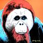 Andy Warhol (after), Orangutan (1983), litografia a colori, tiratura limitata (ed. 500 es.), numerata a matita, firmata in lastra, timbro a secco CMOA, cm 50x50 b