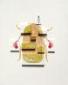 Paul Paiement, hybrids g-chrysina satelliteradius (2004), tempera all'uovo su legno, cm 39x49,5