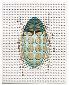 Paul Paiement, hybrids h-chrysina velovibratorus (2013), acquerello su carta Arches, cm 28x36