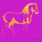 Angela Policastro, Il cavallo di Leonardo 4 (2024), scatola luminosa retroilluminata a LED, serigrafia su policarbonato, cm 60x60