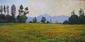 Campo di papaveri (2005), olio su tela, cm 70x40