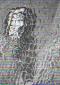 Le insidie della sera (2009), acrilico su tela, cm 50x70