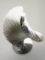 Eugenio Coppo, 09 10 31 - Disco dinamico (2009), 39 elementi continuo avvitato, acciaio inossidabile, cm 24x31
