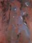 29 Andrea Boldrini, Senza titolo (1991), olio su tela, cm 60x80