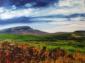 Joy Moore, The Old Man of Storr (2006), tecnica mista su tela, cm 102x76