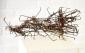 Werner Bitzigeio, Nothing XII (2008), ferro, cm 15x15x30