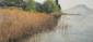 Gian Pietro Farina, Punta San Vigilio, Lago di Garda (2006) (part.), acquerello, cm 60x40