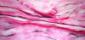 Laura Bottaro, Monocromo in rosa (2008), olio su tela, cm 120x61