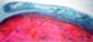 Laura Bottaro, Strawberry field (2010), olio, pastello e kohle su tela, cm 147x65