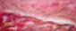 Laura Bottaro, Untitled in rosso (2008), olio su tela, cm 113x48