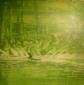 Luigia Cuttin, Nel verde (2009), acrilico su tavola, cm 25x25