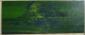 Luigia Cuttin, Paesaggio verde (2009), acrilico su tela, cm 50x20