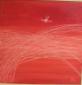 Luigia Cuttin, Rosso (2009), acrilico su tela, cm 30x30