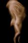Ales Vega, Omaggio a Botticelli 11 (2010), gicle su tela, cm 90x180