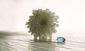 Mauro Martin, serie Natura morta 11, fotografia, cm 8x5