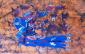 Sezione 1. Guillermina Rivera Hernandez, Batik 12 (2011), tecnica mista su stoffa