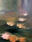Maria Ferrara, Notturno con ninfee 1 (2010), olio su tela, cm 40x50
