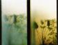 5.Mauro Martin, Natura morta (2006), fotografia, cm 30x20 g