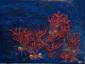 Feofeo, Coralli (2011), tecnica mista su tela, cm 80x60