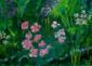 Christine Aseka, Urwald (2012), gouache su carta applicata su cartonfoam, cm 35x25