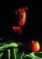 Sue Skitt, Vanitas, Beauty (2012), fotografia verniciata su tela, cm 44x60
