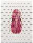 Paul Paiement, h-lampyridae clitoralvibratorae (2013), acquerello su carta Arches, cm 23x30,5