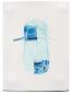 Paul Paiement, hybrids a-coleoptera volkswagonae (2004), acquerello su carta Arches, cm 28x35