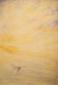 Annamaria Gagliardi, Acquaria 1 (2000), olio su tela applicata su tavola, cm 60x90