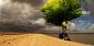 Stefan Havadi-Nagy, Car with tree Munch (2014), digital art su Dibond, cm 100x50