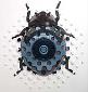 Paul Paiement, hybrids i-coccinellidae roombas (2009), acrilico su acrilico (installazione parietale), cm 70x80
