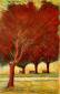 Carmelo Compare, Alberi rossi (2018), tecnica mista su tela, cm 50x70