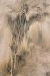 MASTUSET, 9712A (2016), fotografia su plexiglass, cm 70x100, pezzo unico