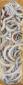 Caroline Josephs, Ancestral Roots (2012), acrilico su carta, cm 28,5x102,5