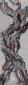 Caroline Josephs, Tree as Body (2011), acrilico su carta, cm 36x99,5