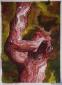 Gary Brewer, Red Coral (2018), acquerello su carta Fabriano, cm 28x38