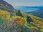Catherine Perehudoff Fowler, Flowers on Mount Vesuvius (2019), acrilico su tela, cm 61x45,5