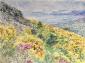 Catherine Perehudoff Fowler, View of the Bay of Naples from Mount Vesuvius (2019), acquerello su carta, cm 76x57,5