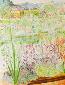Beate Kulina, Herb Garden (2015), acquerello, cm 50x65
