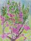 Beate Kulina, Peach Blossom (China) (2018), acquerello, cm 50x65