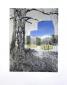 Paul Paiement, Nexus-Mitchell Oregon (2021), litografia con collage gicle, cm 27,94x35,56