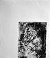 Stefania Raimondi, La distanza (2018), incisione su gesso, cm 52x70
