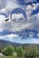 Valentn Gallego Gallardo, Aguilas sobrevolando el paisaje (2021), elaborazione digitale su alluminio, cm 40x60